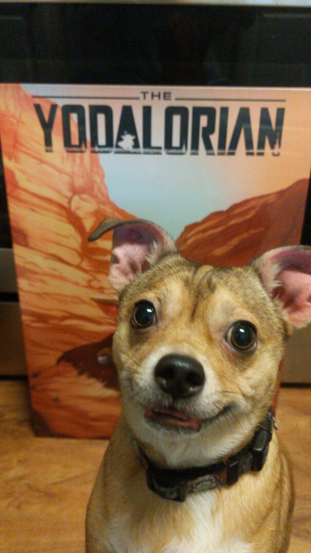 Took A Pic To Show My Husband The New Wall Art And....