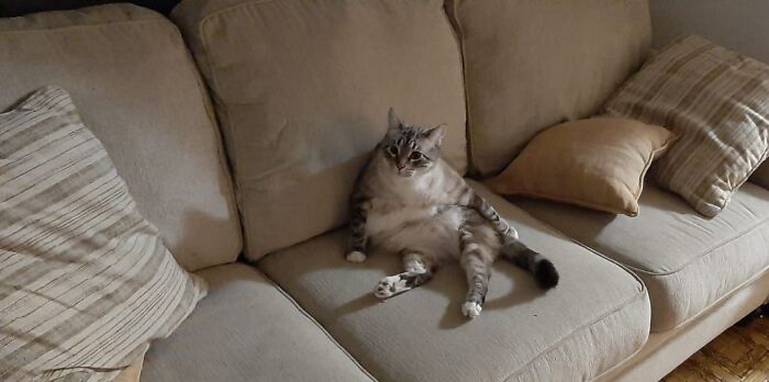 Did You Bring Me Anything?