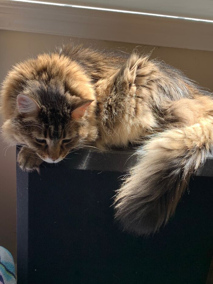 There's Something Down There!!!!