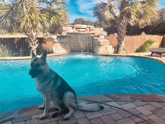 All Are Welcome Here. But Security Checks Id....