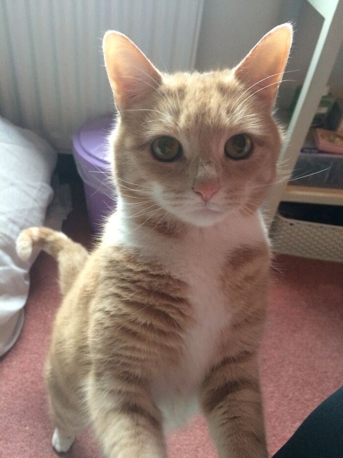 My Little Cutie 5 Minutes Before Dinner Time.