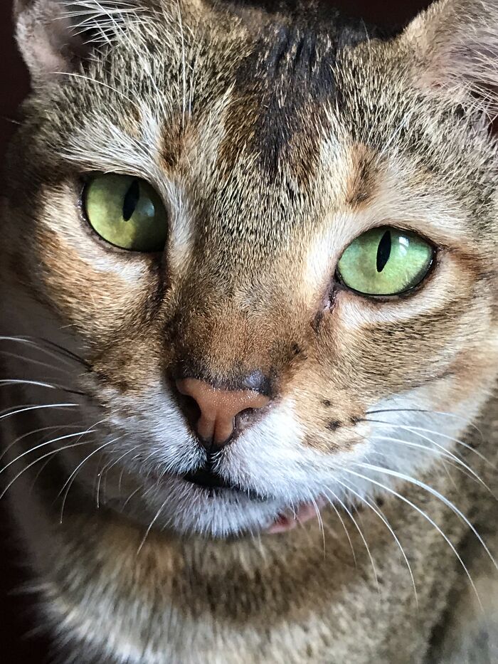 Clo And Her Green Eyes!