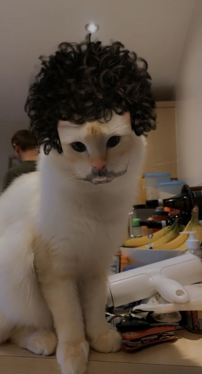 Not Sure These Are The Facial Hair Choices He Should Be Going For...