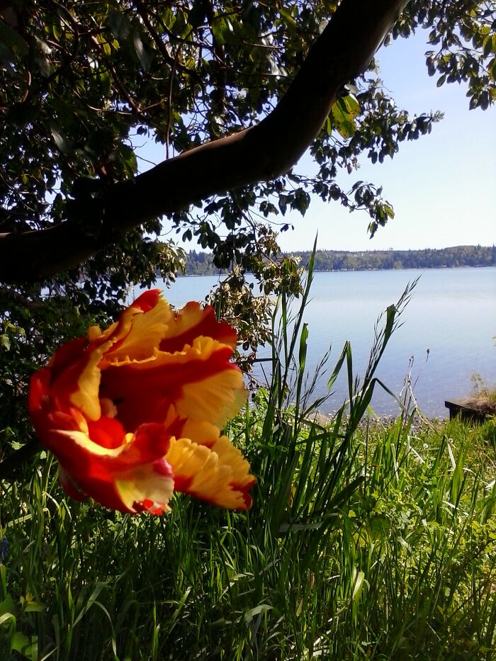 Beauty In A Ditch, Wa