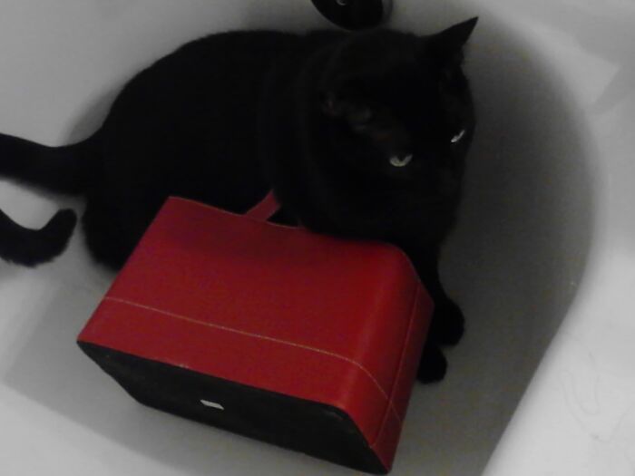 Wait There Till I Get My Camera.