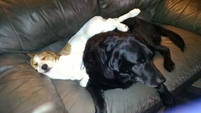 Jimmy And His First Best Buddy, Bertie