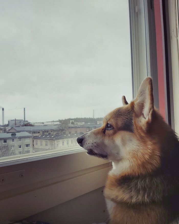 I Was Late Feeding Time