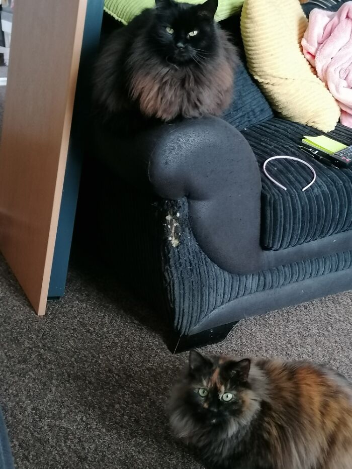 Its Not Out Fault It Ripped!!