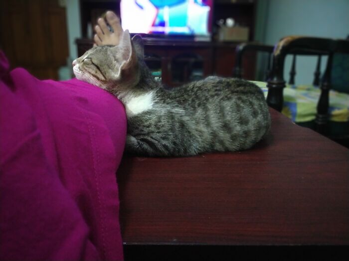 The First Time She Trusted Me Enough To Nap On Me