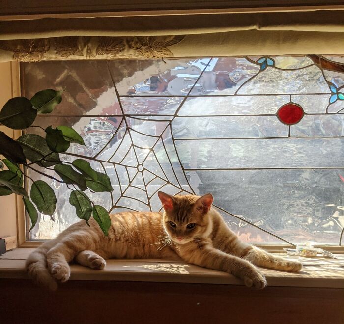 He Likes His Sun Spot