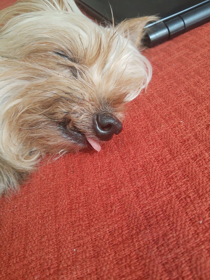 11 Yo, Lost Most His Teeth So His Tongue Slips Out