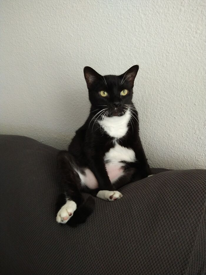 This Is Duce Just Hanging Out..