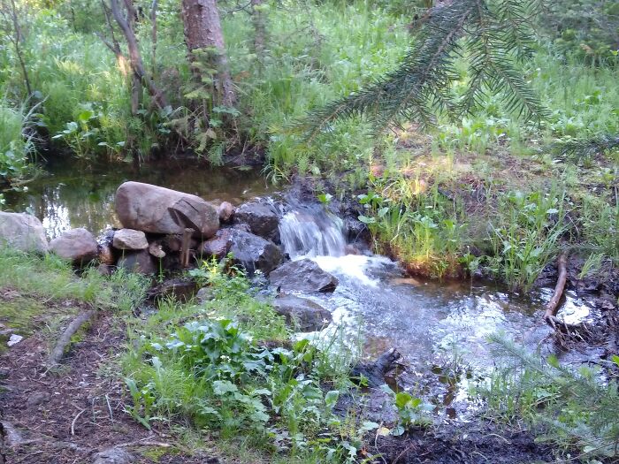 A Creek In Colorado