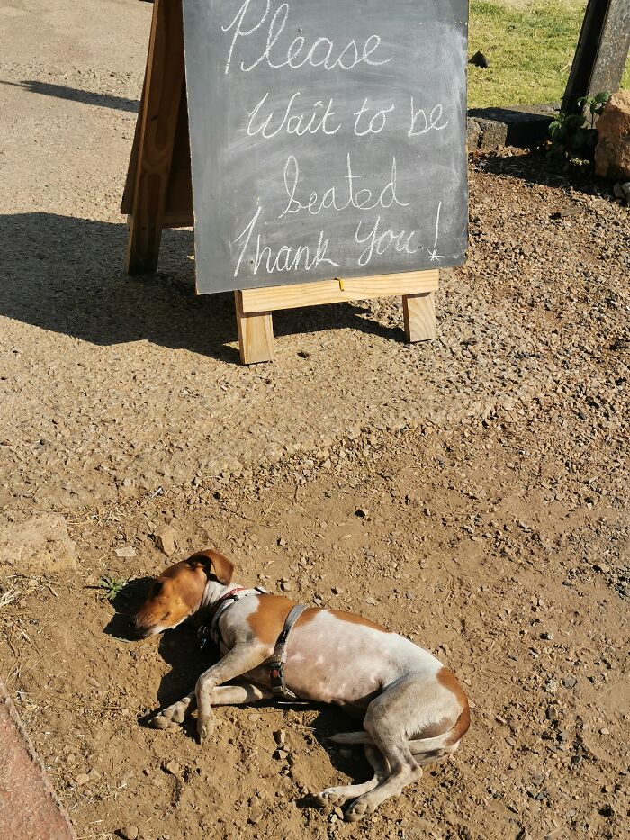 Got Tired Of Waiting