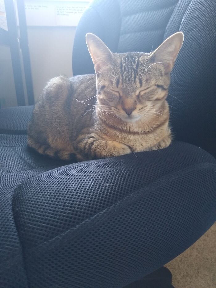 Sydney Loaf 🍞 ❤️