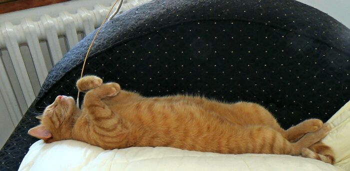 My Very Sleepy Handsome Boy 🥰