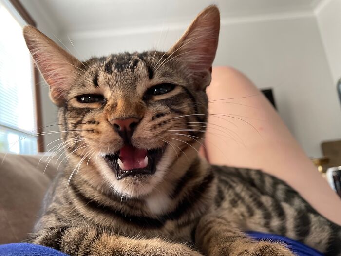 Letting Me Know He's Sick Of My S#!t