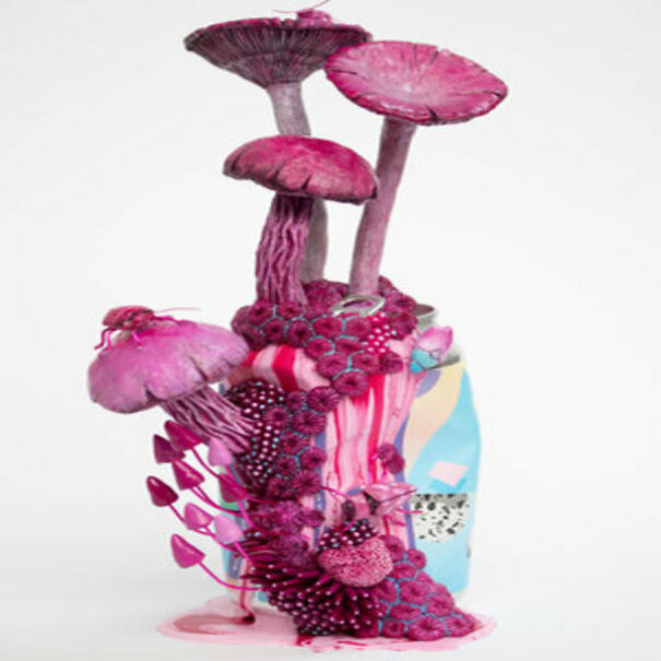 Stephanie Kilgast's Wonderful Creations From Trash To Art!