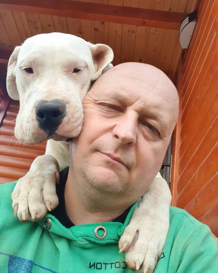 Meet Dejan Gacic, The Good Man Who Has A Shelter With Over A Thousand Dogs