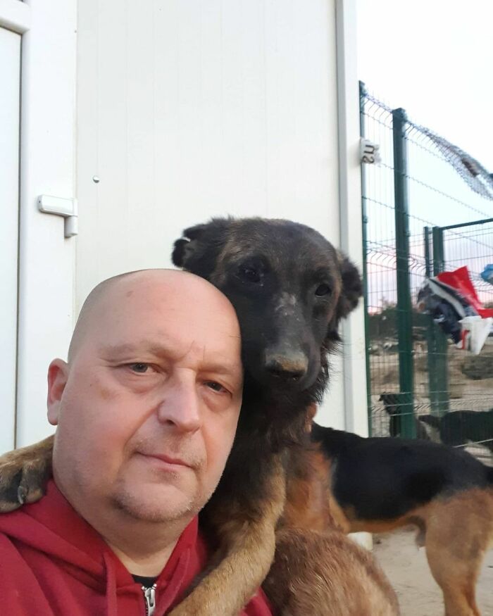 Meet Dejan Gacic, The Good Man Who Has A Shelter With Over A Thousand Dogs