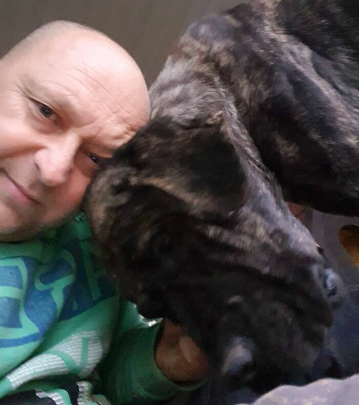 Meet Dejan Gacic, The Good Man Who Has A Shelter With Over A Thousand Dogs