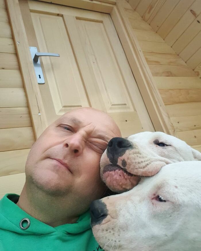 Meet Dejan Gacic, The Good Man Who Has A Shelter With Over A Thousand Dogs