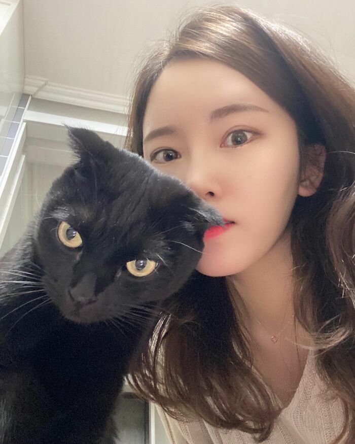 Meet Meonji The Black Cat That Is The Instagram Sensation