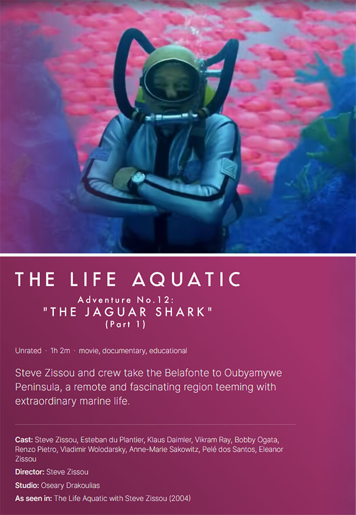 Meet Nestflix, A Netflix Clone With Movies That Don't Actually Exist