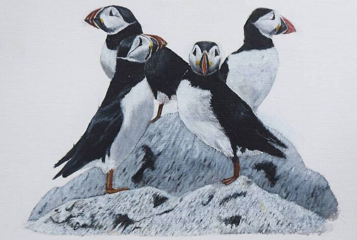 My 19 Year Old Daughter Paints Amazing Wildlife Paintings, Help
me Get Her Noticed!