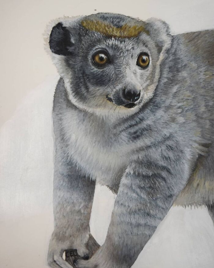 My 19 Year Old Daughter Paints Amazing Wildlife Paintings, Help
me Get Her Noticed!