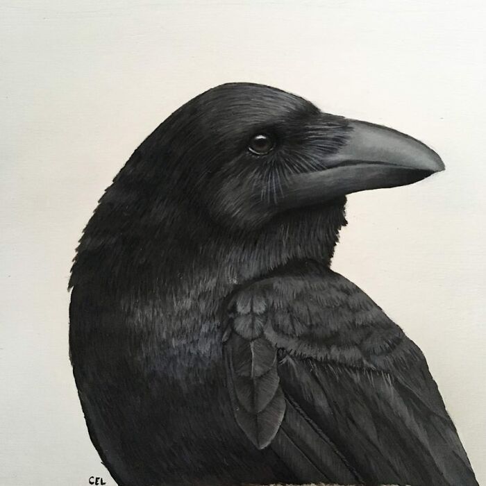 My 19 Year Old Daughter Paints Amazing Wildlife Paintings, Help
me Get Her Noticed!