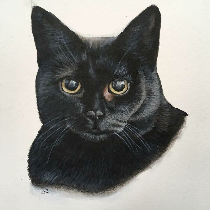 My 19 Year Old Daughter Paints Amazing Wildlife Paintings, Help
me Get Her Noticed!