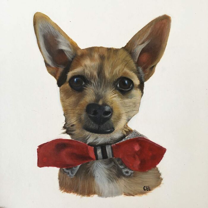 My 19 Year Old Daughter Paints Amazing Wildlife Paintings, Help
me Get Her Noticed!