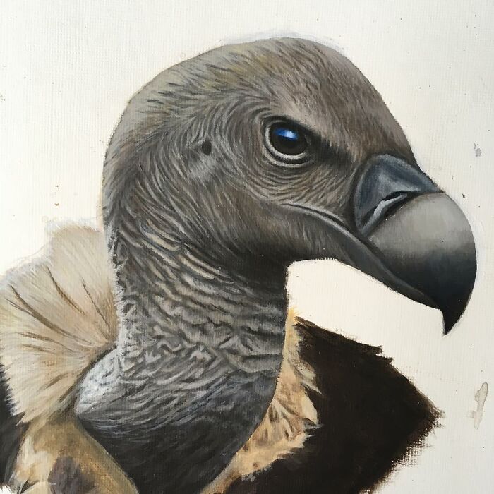 My 19 Year Old Daughter Paints Amazing Wildlife Paintings, Help
me Get Her Noticed!