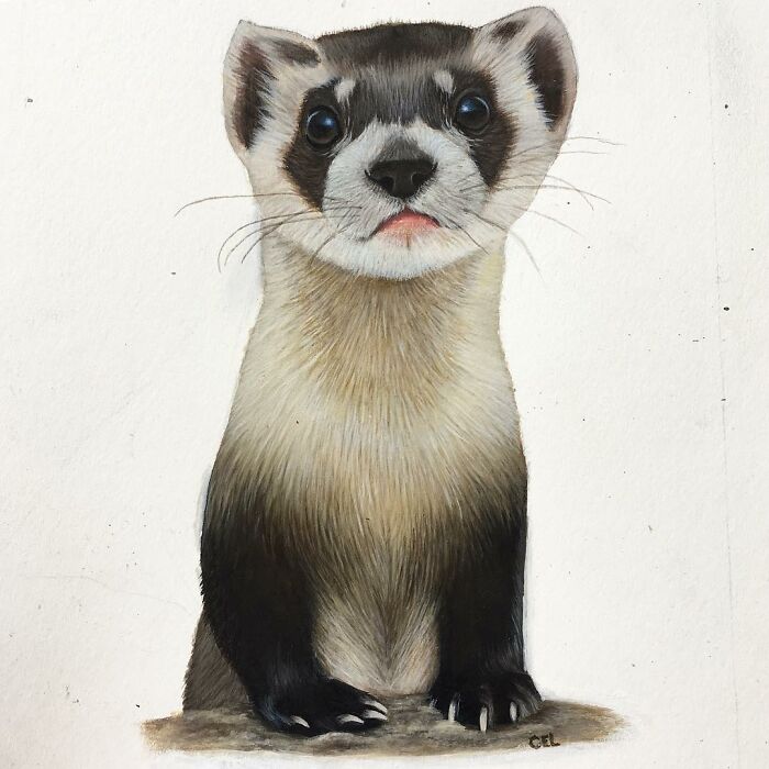 My 19 Year Old Daughter Paints Amazing Wildlife Paintings, Help
me Get Her Noticed!