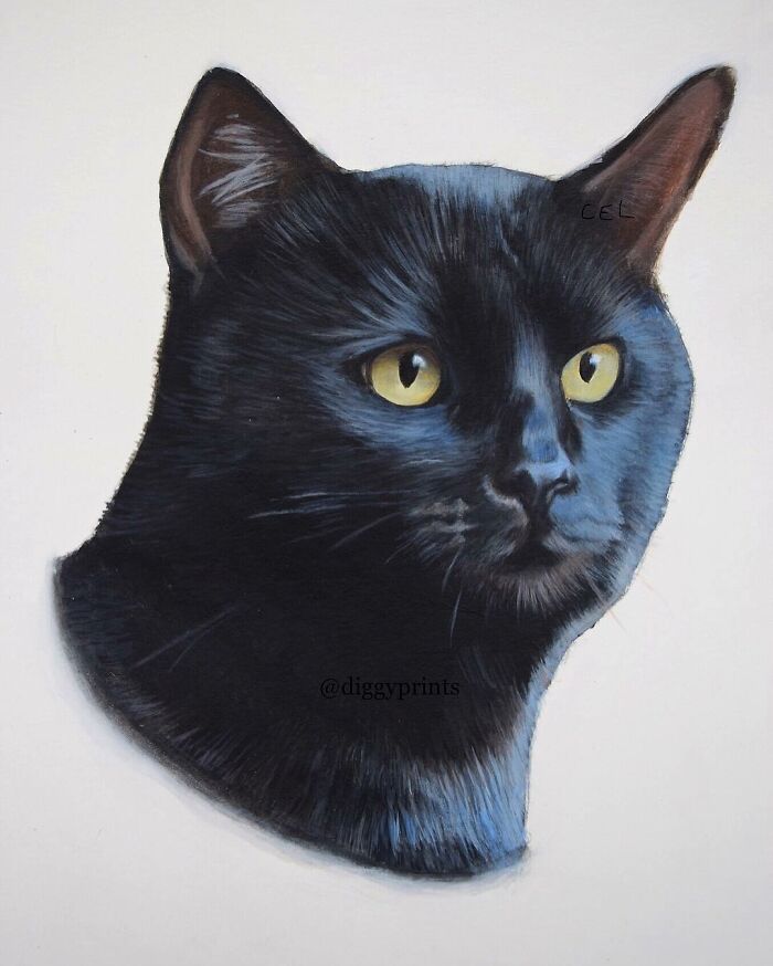 My 19 Year Old Daughter Paints Amazing Wildlife Paintings, Help
me Get Her Noticed!