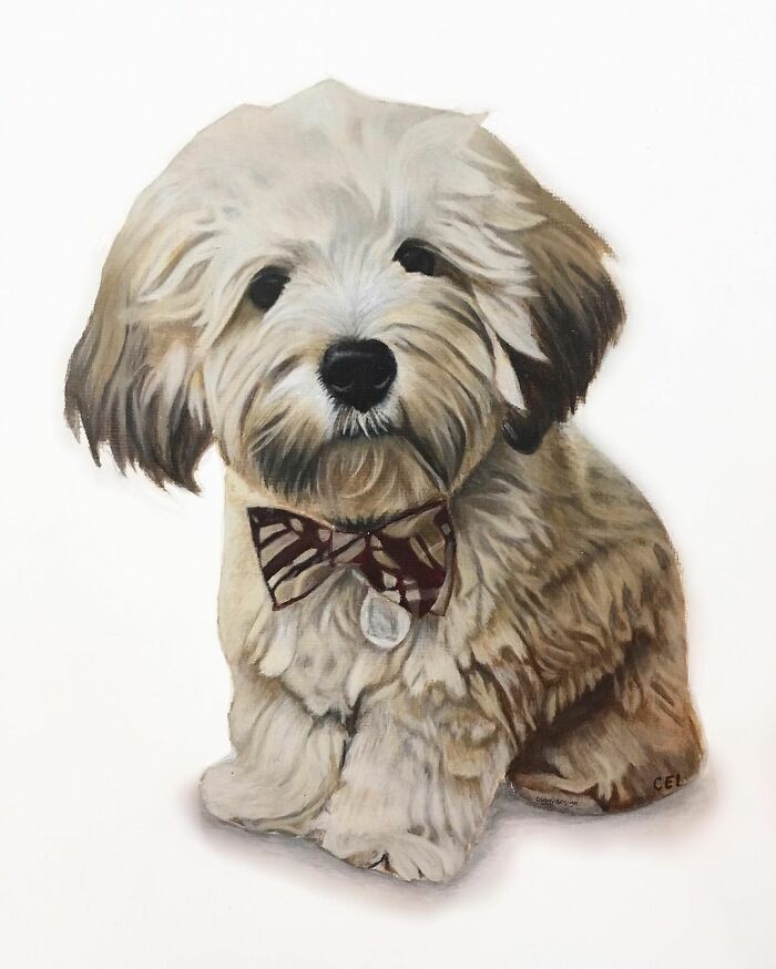 My 19 Year Old Daughter Paints Amazing Wildlife Paintings, Help
me Get Her Noticed!