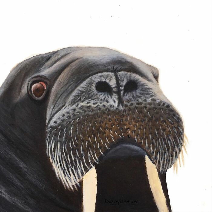 My 19 Year Old Daughter Paints Amazing Wildlife Paintings, Help
me Get Her Noticed!