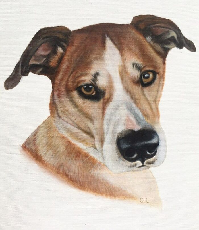 My 19 Year Old Daughter Paints Amazing Wildlife Paintings, Help
me Get Her Noticed!