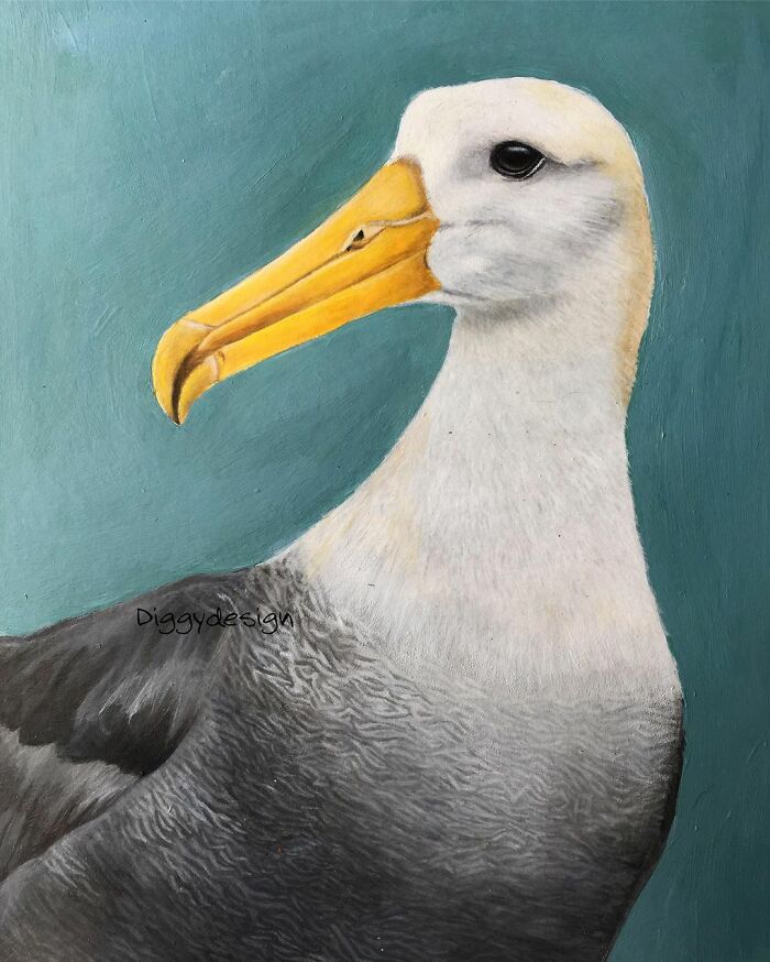 My 19 Year Old Daughter Paints Amazing Wildlife Paintings, Help
me Get Her Noticed!