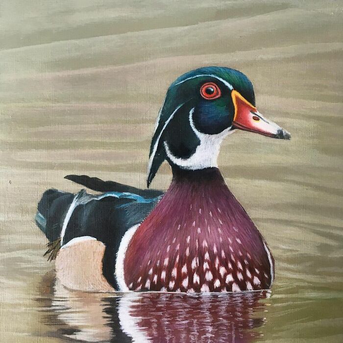 My 19 Year Old Daughter Paints Amazing Wildlife Paintings, Help
me Get Her Noticed!