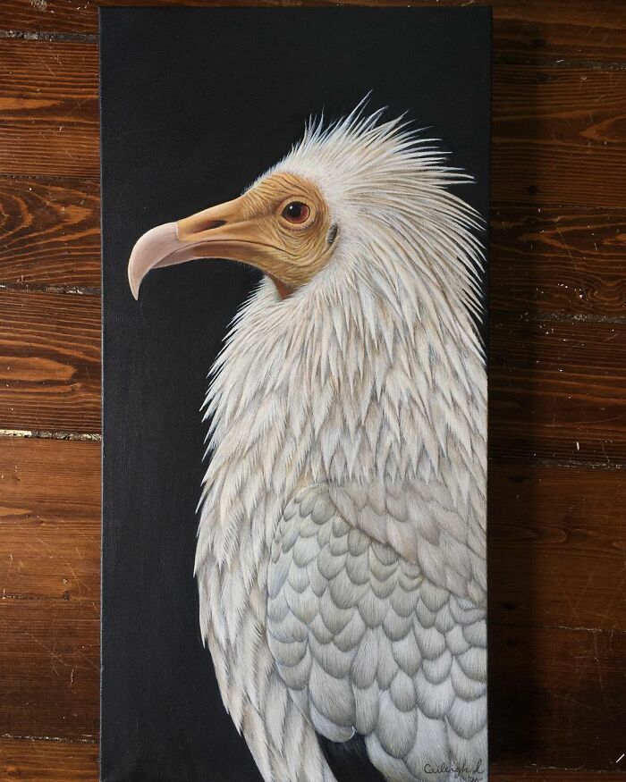 My 19 Year Old Daughter Paints Amazing Wildlife Paintings, Help
me Get Her Noticed!
