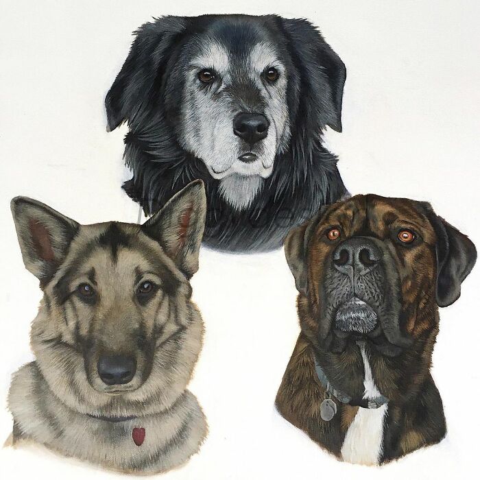 My 19 Year Old Daughter Paints Amazing Wildlife Paintings, Help
me Get Her Noticed!