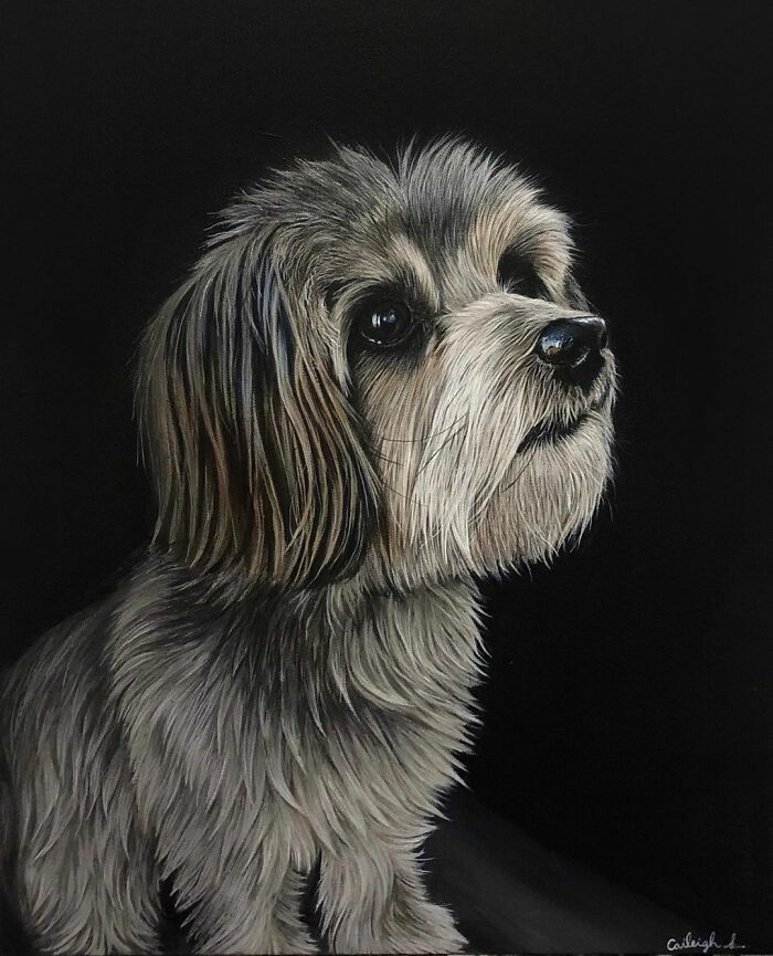 My 19 Year Old Daughter Paints Amazing Wildlife Paintings, Help
me Get Her Noticed!