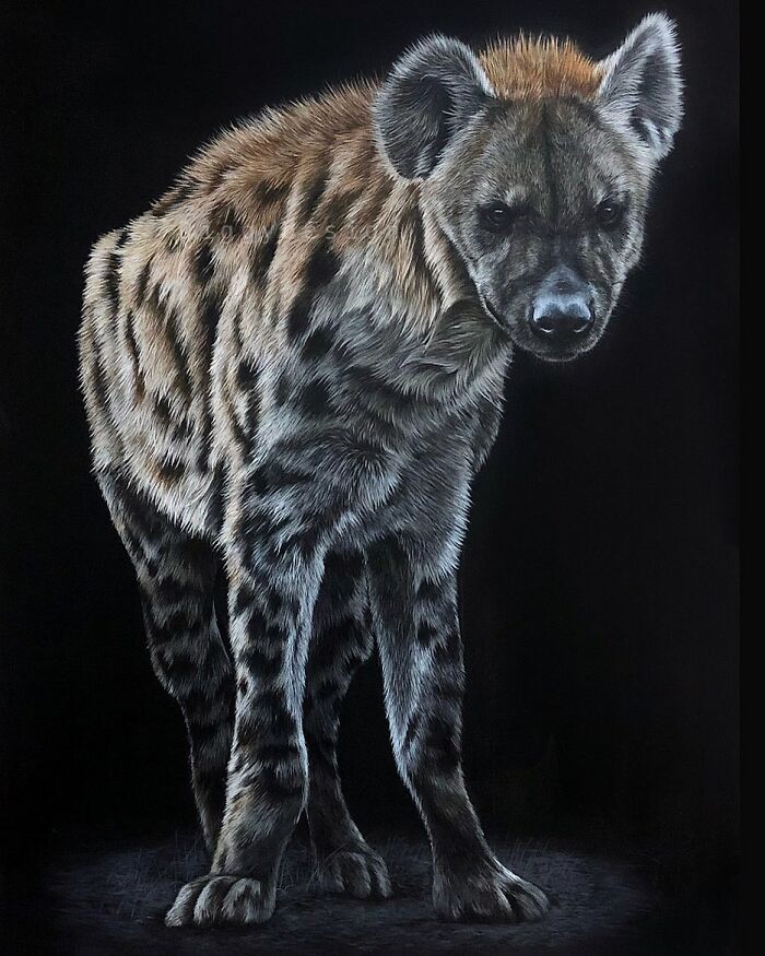 My 19 Year Old Daughter Paints Amazing Wildlife Paintings, Help
me Get Her Noticed!