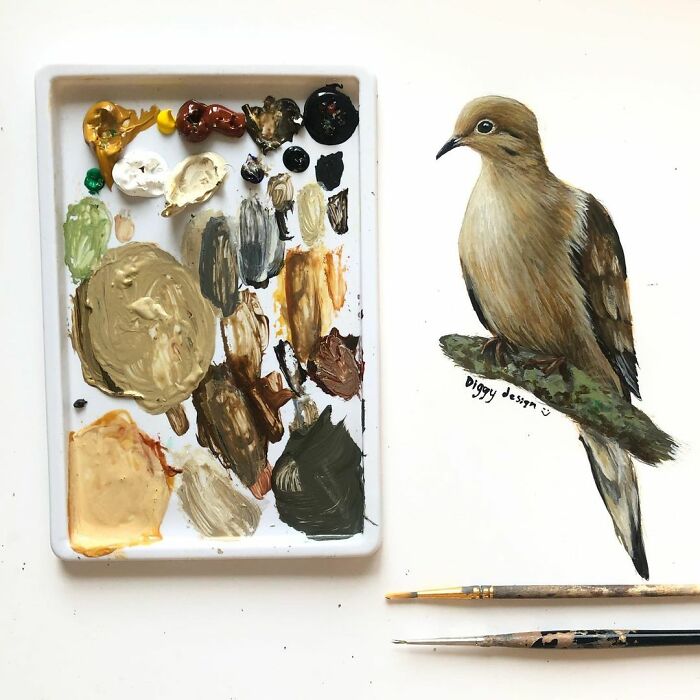 My 19 Year Old Daughter Paints Amazing Wildlife Paintings, Help
me Get Her Noticed!