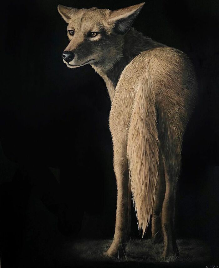 My 19 Year Old Daughter Paints Amazing Wildlife Paintings, Help
me Get Her Noticed!