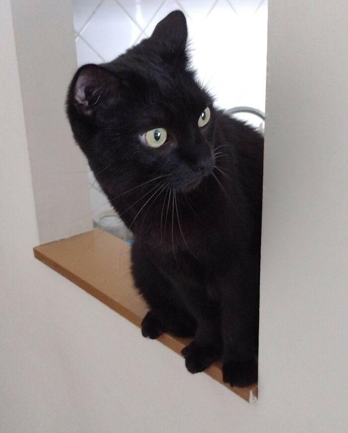 Not Strange, Just Curious.