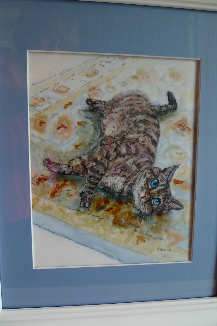 Taji - My Kitty I Bottle-Fed, Who Now Thinks I'm Her Mother.