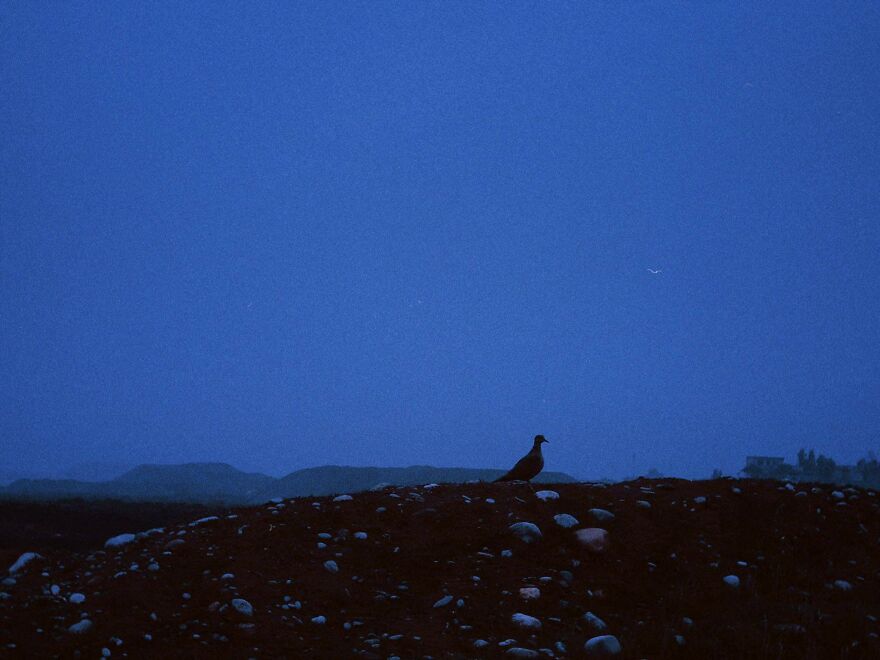 Photographer Shoots Stunning Landscapes Photographer Shoots Stunning Landscapes